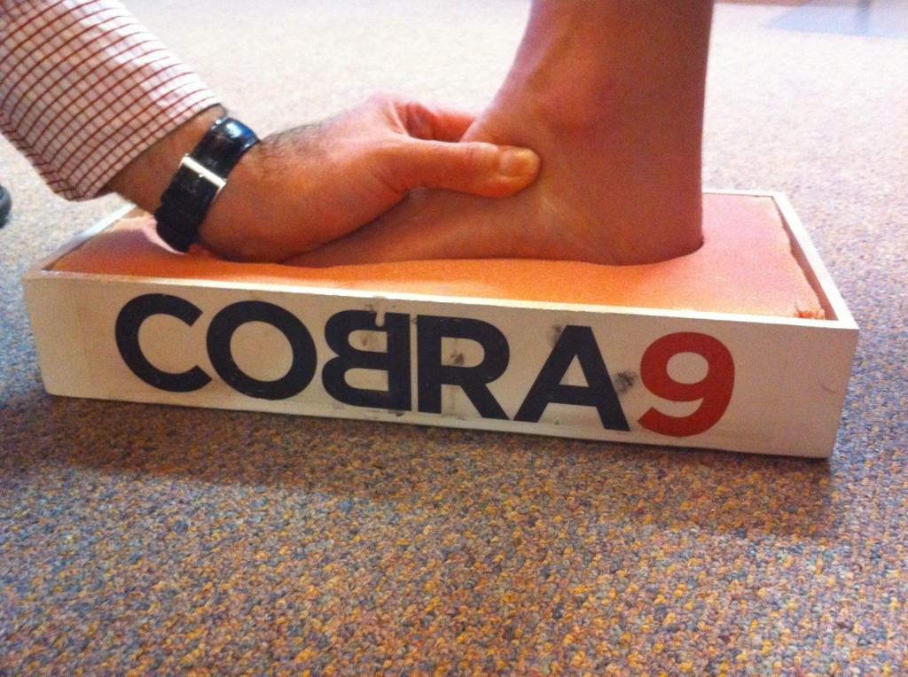 Cobra9 customisation